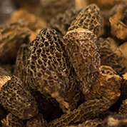 Comptoir Corrézien : morilles séchées