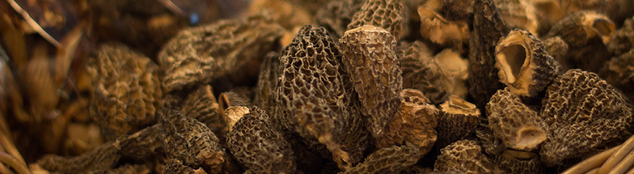 Comptoir Corrézien : morilles séchées