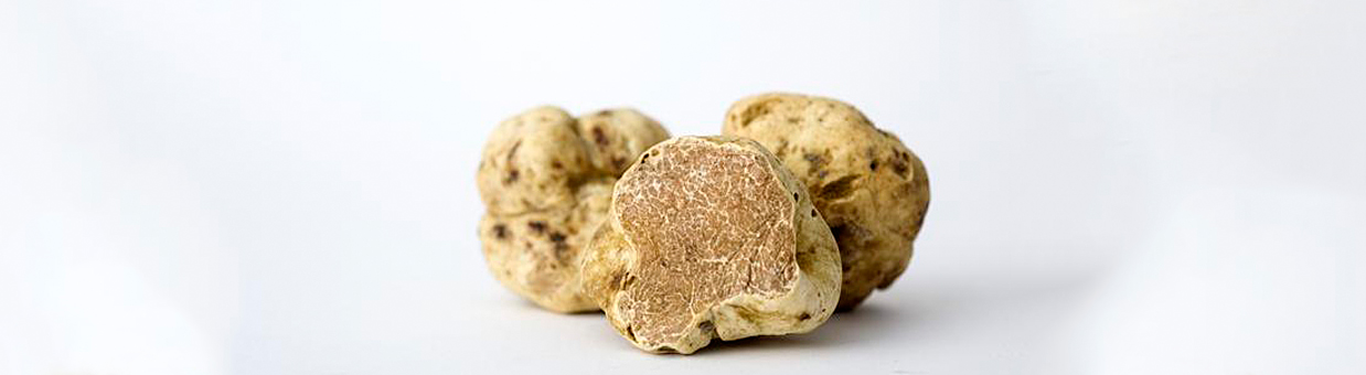 Truffes blanches d'Italie