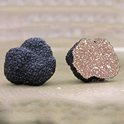 Les différentes variétés de truffe - Comptoir des Truffes