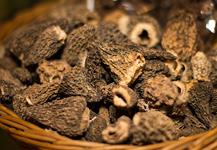 Truffes et champignons sauvages