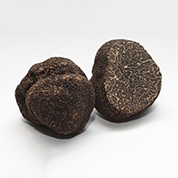 Truffes noires hiver