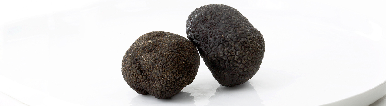 Truffe noire d'hiver (Truffe noire du Périgord)