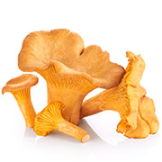 Recettes de girolles